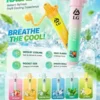 I.G夏威夷鼻通產品規格-鼻吸薄荷棒-6-scaled-1.webp I.G 夏威夷 1000口 鼻通 涼感鼻吸薄荷棒 1000口使用次數/6款香氣可選版本