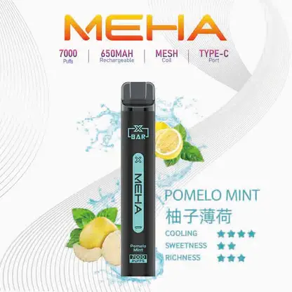 MEHA-XBAR-拋棄式-7000口小黑條-9.webp MEHA XBAR 魅嗨 小黑條 7000口 拋棄式電子煙 3%尼古丁鹽/極強冰感/Mesh芯爆發力/650mAh可充電續航