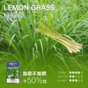 MEHA 魅嗨 一代通用煙彈 3ml容量/3%尼古丁鹽/專利防漏技術/通用一代主機