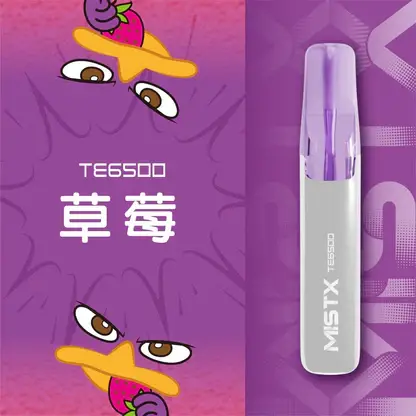 Mist X 鴨嘴獸 6500口 拋棄式電子煙 冰爽水果/2%尼古丁鹽/550mAh大電量/可充電續航/獨家萌系外觀設計
