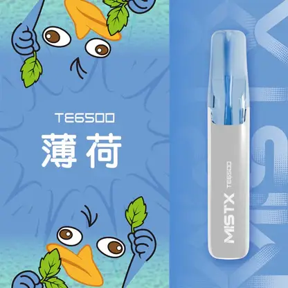 Mist X 鴨嘴獸 6500口 拋棄式電子煙 冰爽水果/2%尼古丁鹽/550mAh大電量/可充電續航/獨家萌系外觀設計