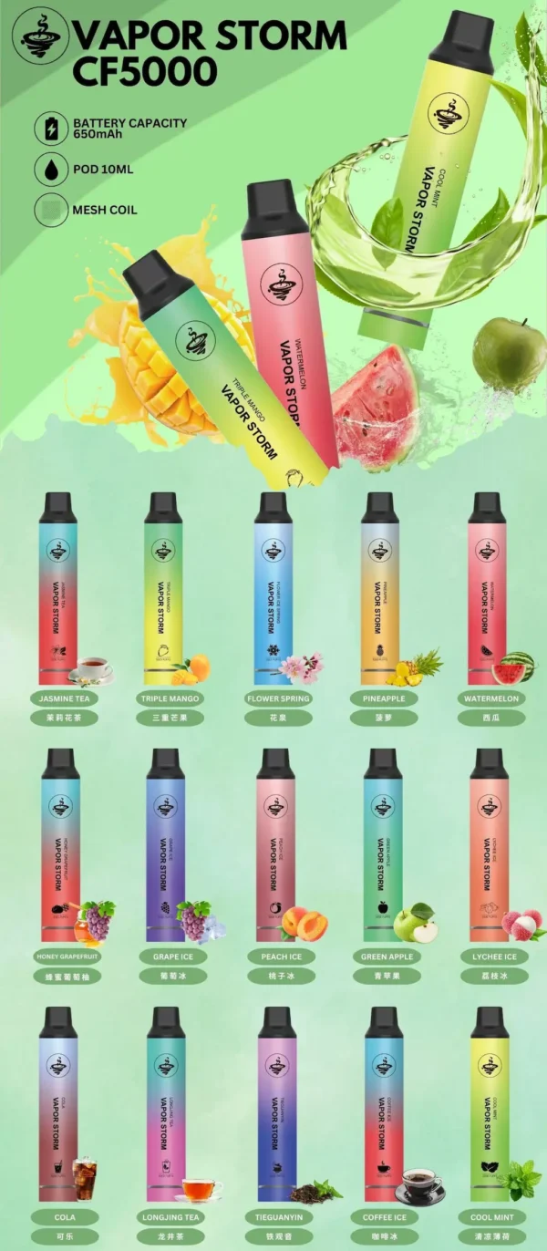 WP風暴.webp VAPOR STORM 風暴 5000口 拋棄式電子煙 10ml大容量/Mesh芯強勁霧化/金屬質感機身/650mAh可充電長效續航